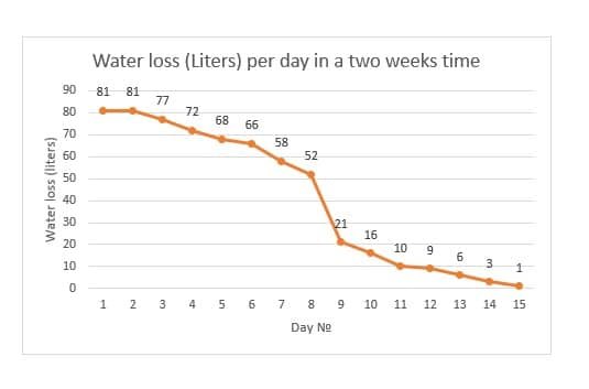 Utæt vildmarksbad af træ: lækager i starten og pleje af karret 3 TimberIN-diagram over det daglige vandtab i liter over femten dage